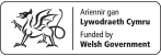 Welsh Government